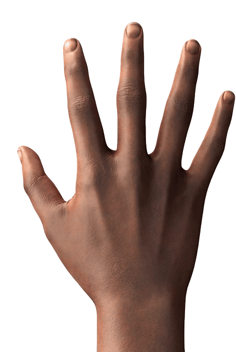 Hand transformation sequence